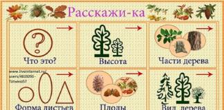 Фронтальное занятие для детей средней группы